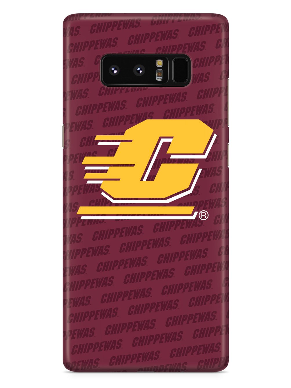 Central Michigan University Case