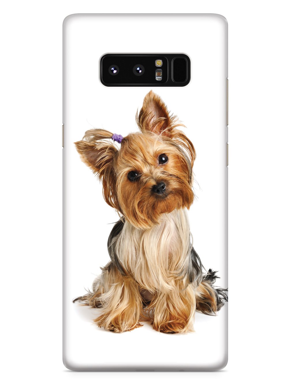 Yorkshire Terrier with Bow Case