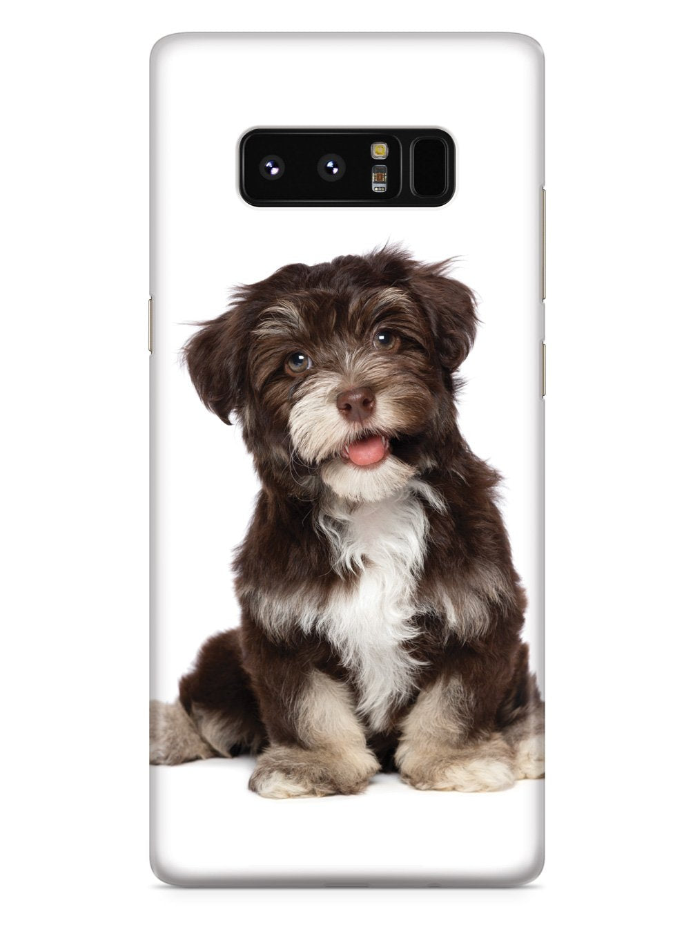 Havanese Puppy Case