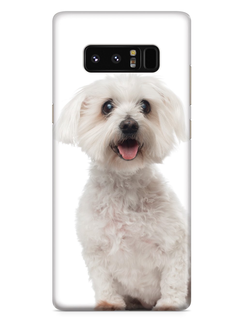 Joyful Maltese Case