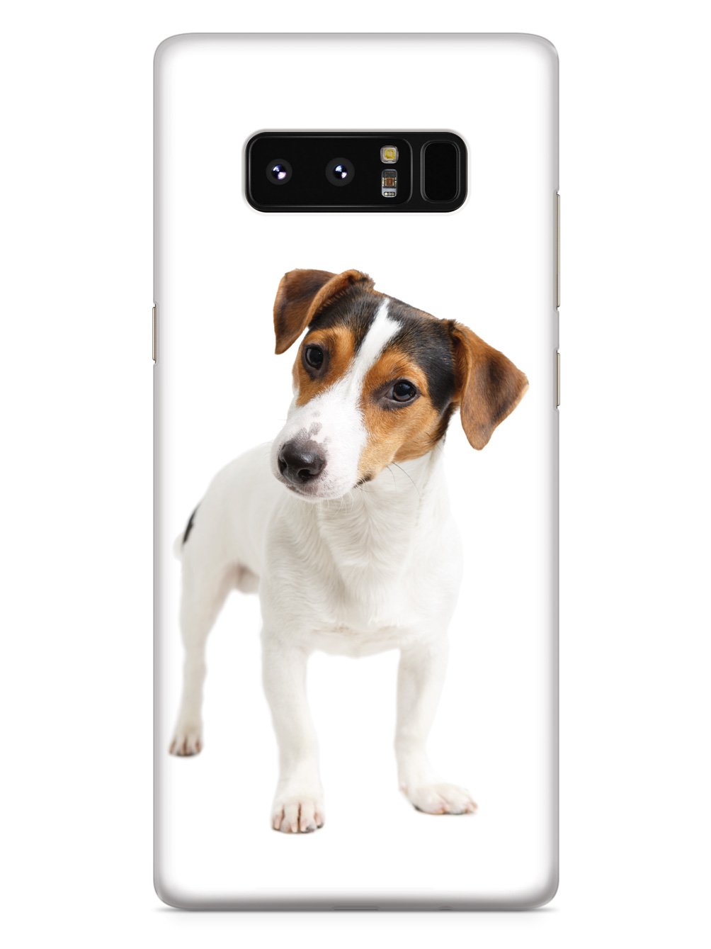 Jack Russell Terrier Puppy Case