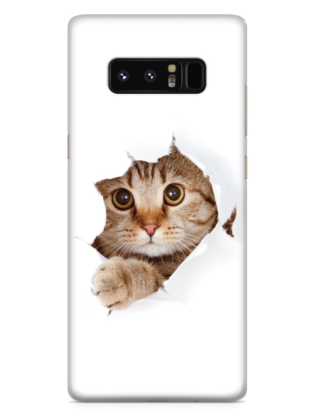 Peek-a-Boo Kitty Case