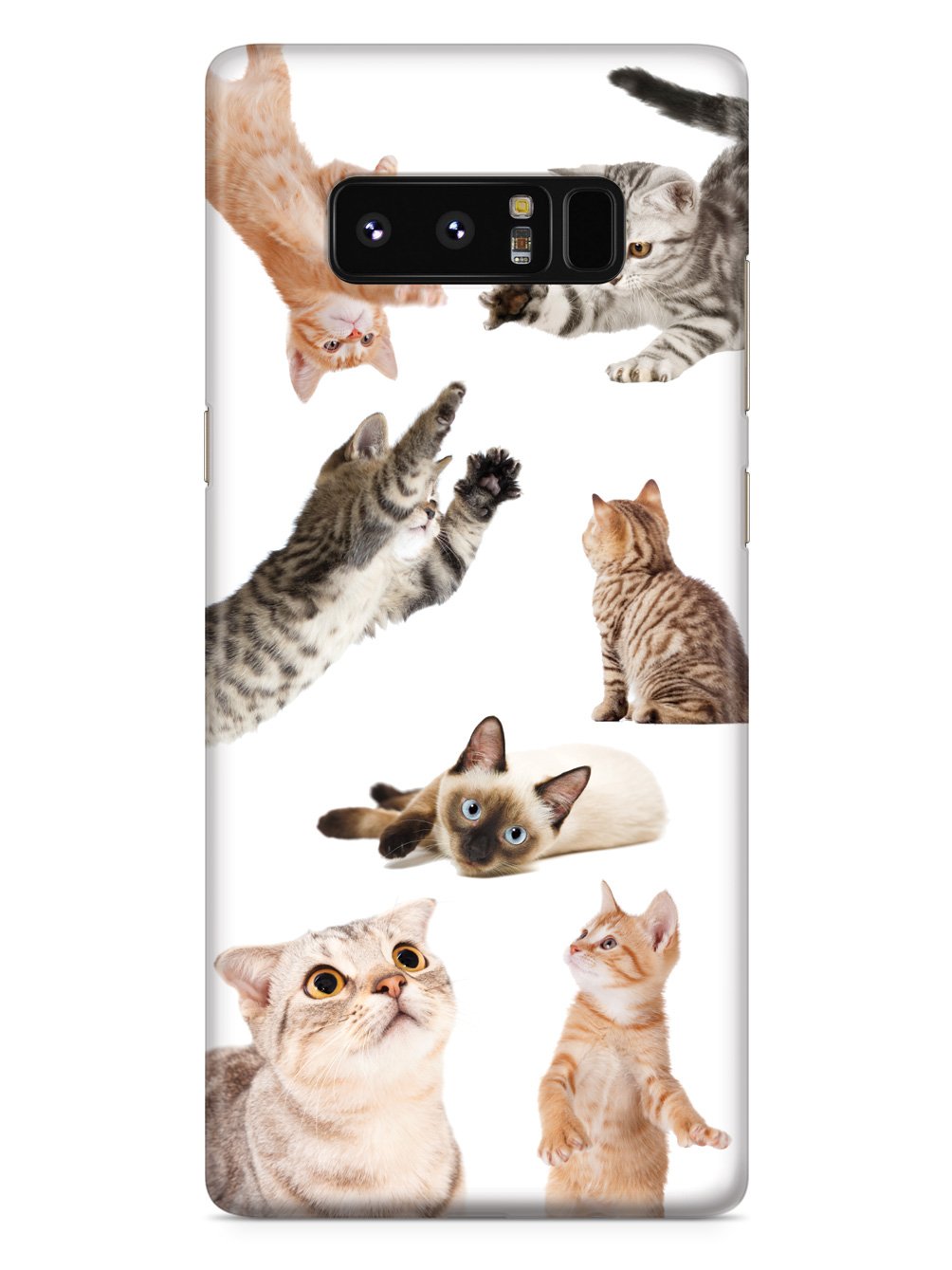 Funny Cats Case