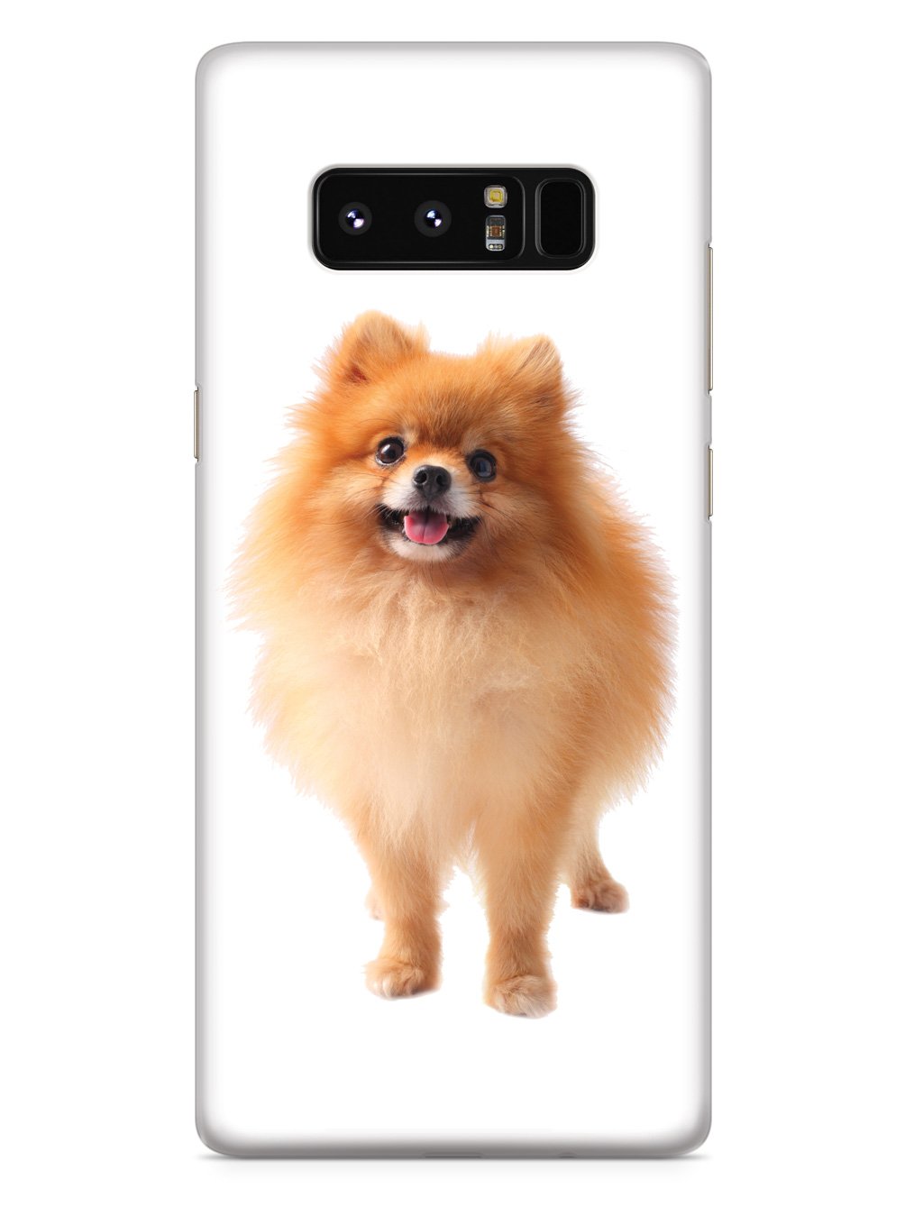 Long-haired Pomeranian Case