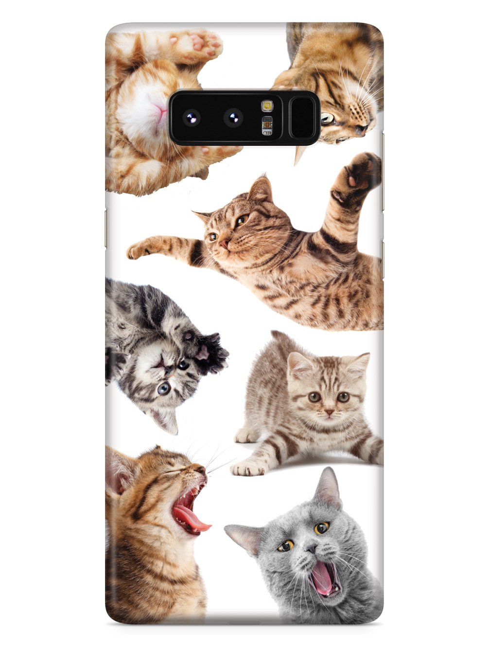 Funny Cats 2 Case