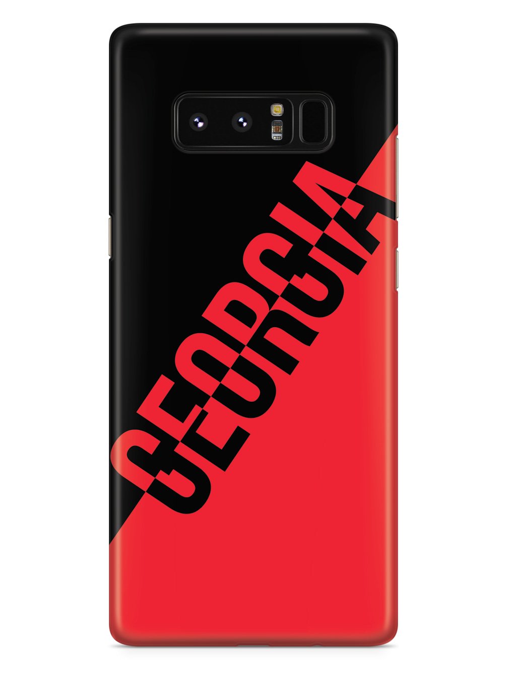 Georgia State Pride Case