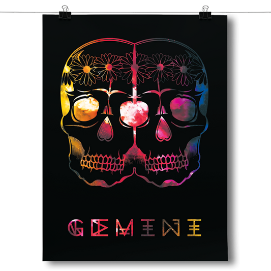 Cosmic Zodiac - Gemini Poster