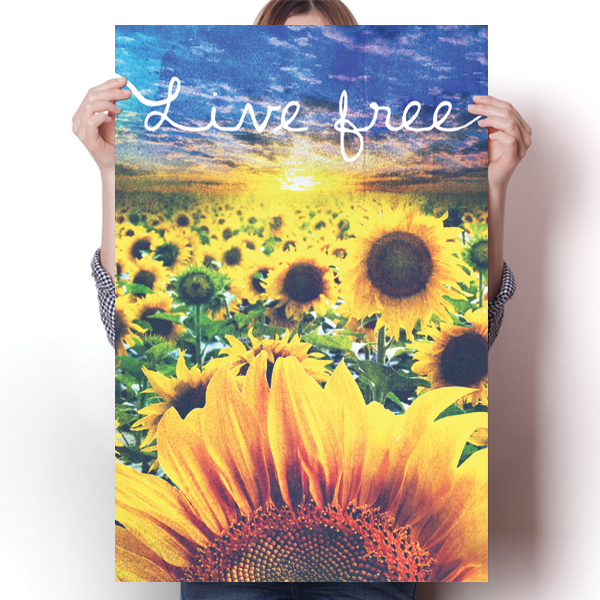 Live Free - Sunflower Field Poster