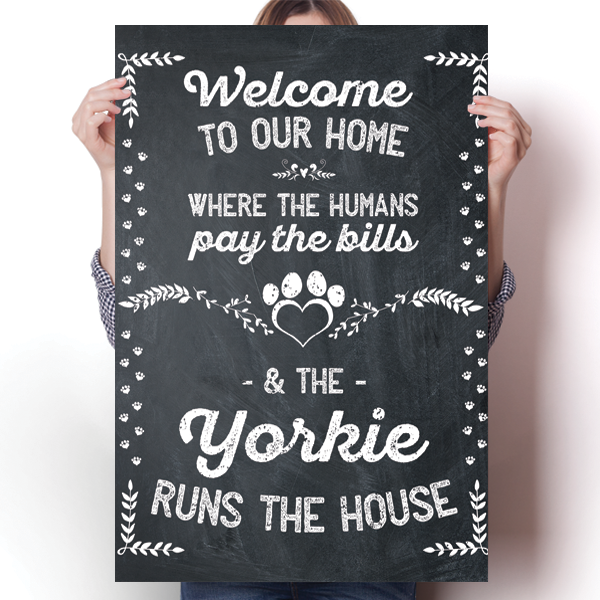 The Yorkie Runs The House Poster