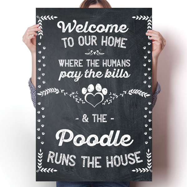 The Poodle Runs The House Poster