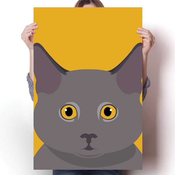 British Shorthair Face Poster