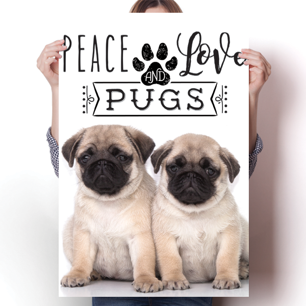 Peace Love and Pugs - Real Life Poster