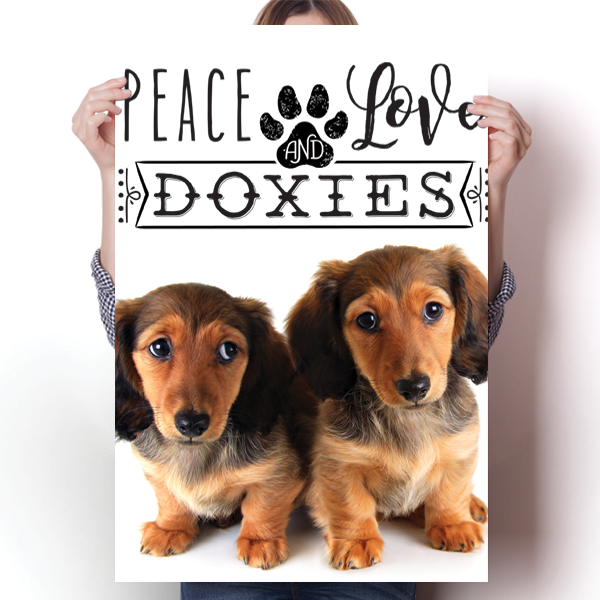 Peace Love and Doxies - Real Life Poster