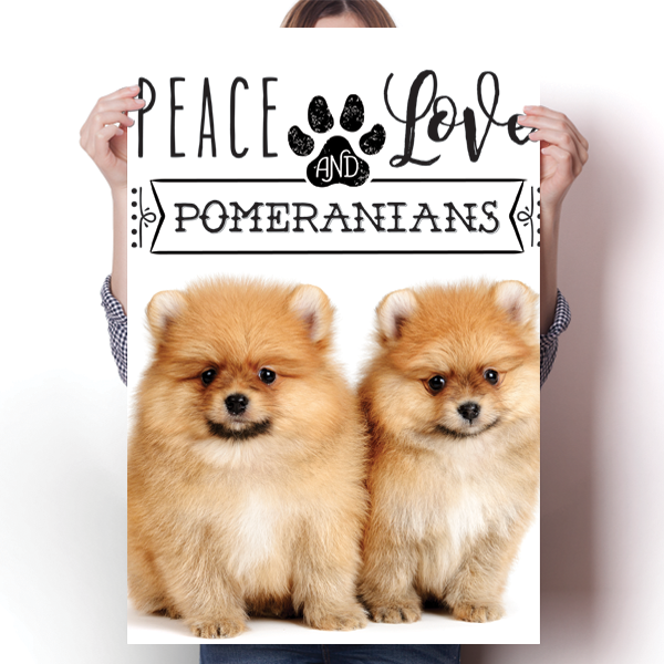 Peace Love and Pomeranians - Real Life Poster