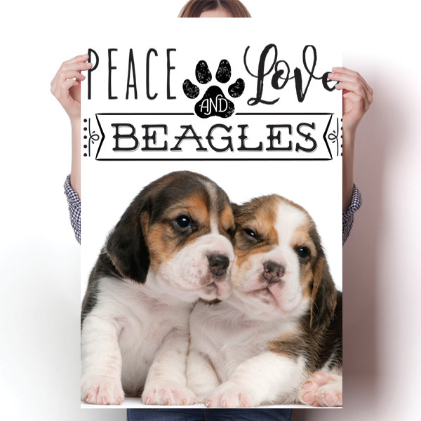 Peace Love and Beagles - Real Life Poster