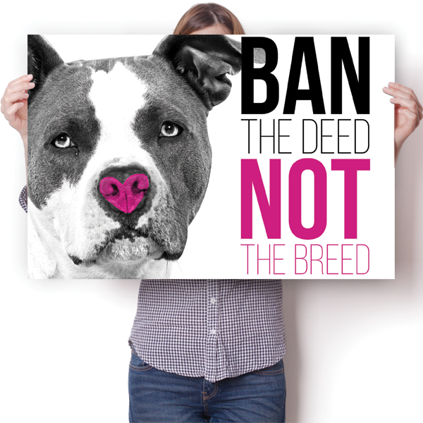 Ban The Deed, Not The Breed - Pitbull Poster