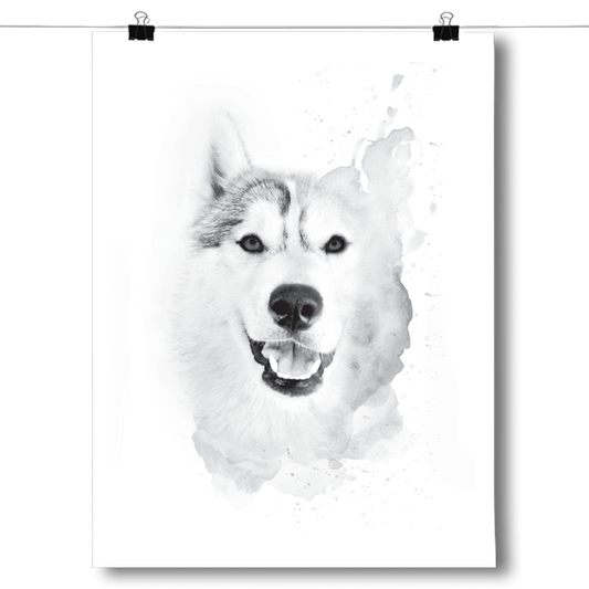 Husky Drawing Poster