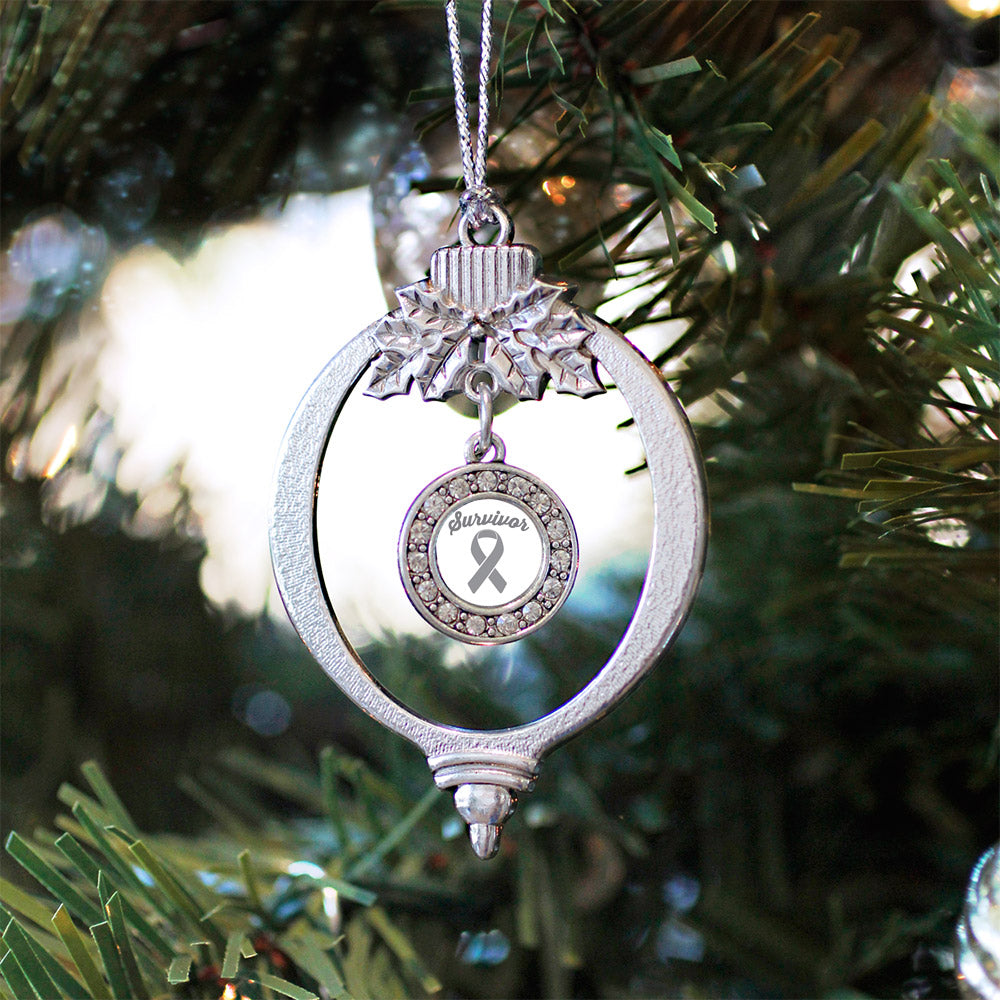 Silver Gray Ribbon Survivor Circle Charm Holiday Ornament