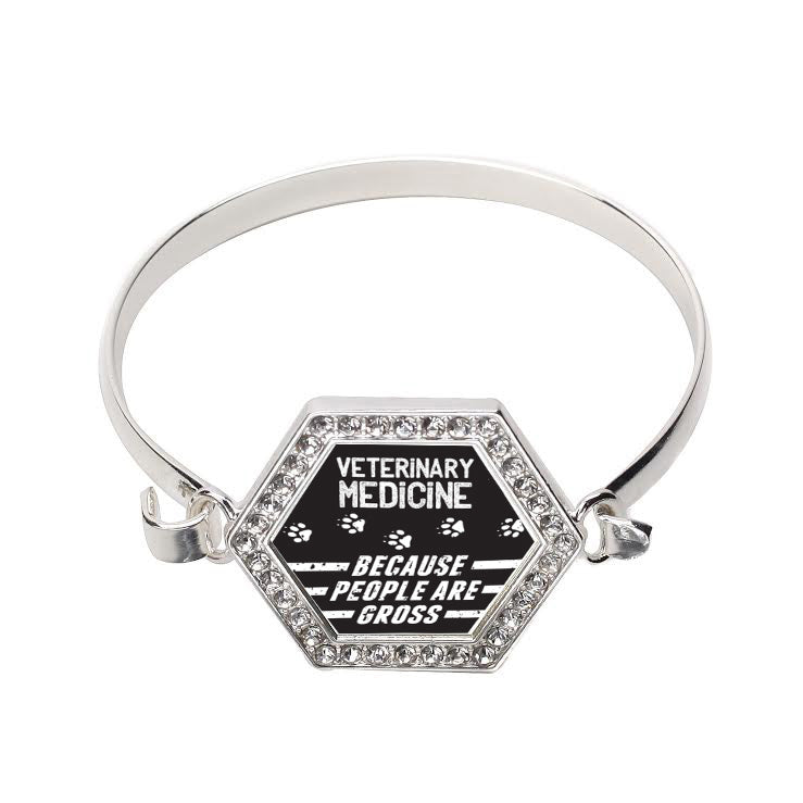 Silver Veterinary Medicine Hexagon Charm Bangle Bracelet