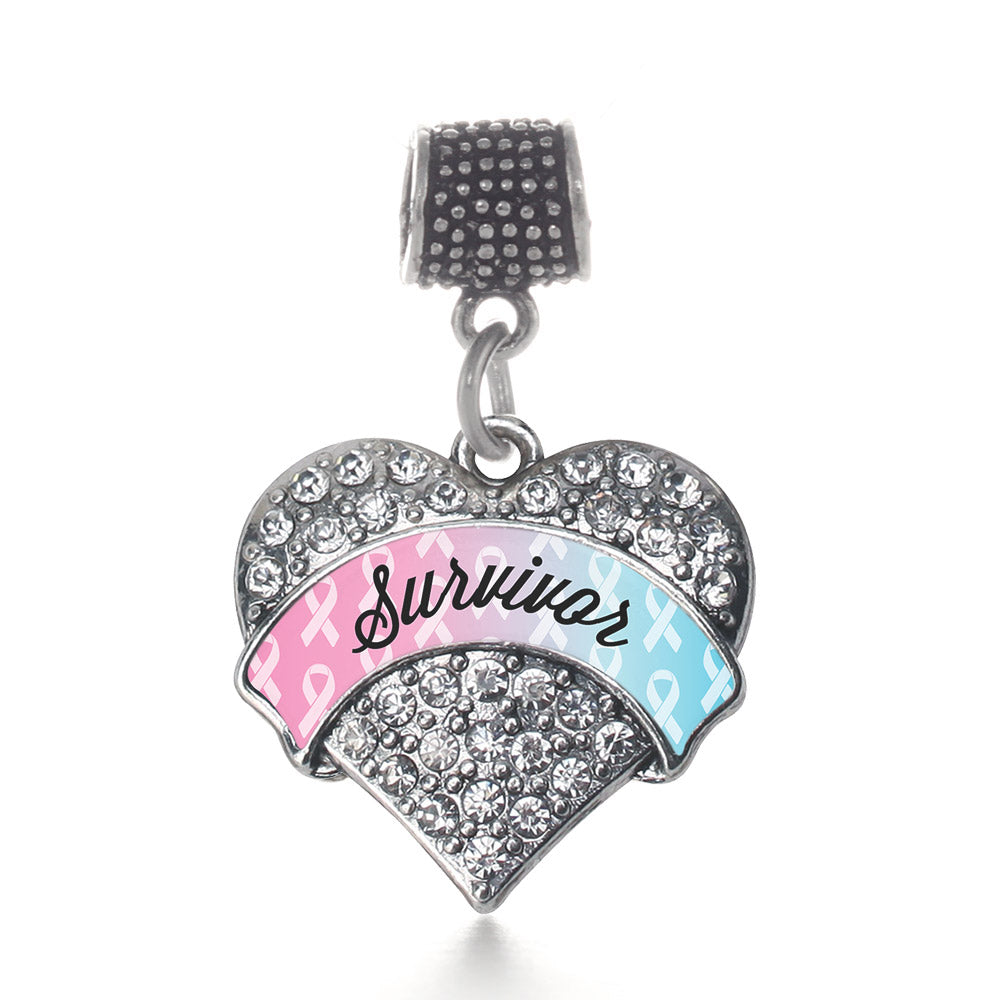 Silver Light Blue & Light Pink Ribbon Survivor Pave Heart Memory Charm