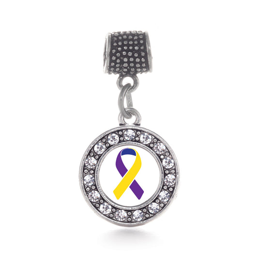 Silver Bladder Cancer Awareness Circle Memory Charm