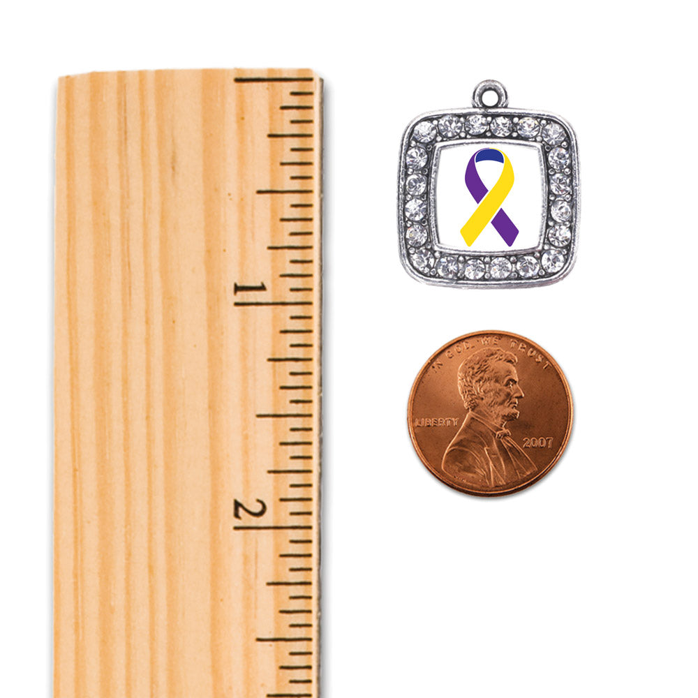 Silver Bladder Cancer Awareness Square Charm Dangle Earrings