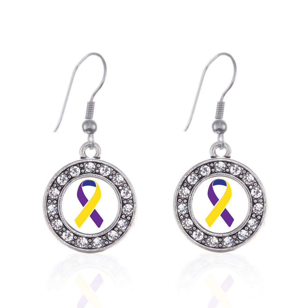 Silver Bladder Cancer Awareness Circle Charm Dangle Earrings