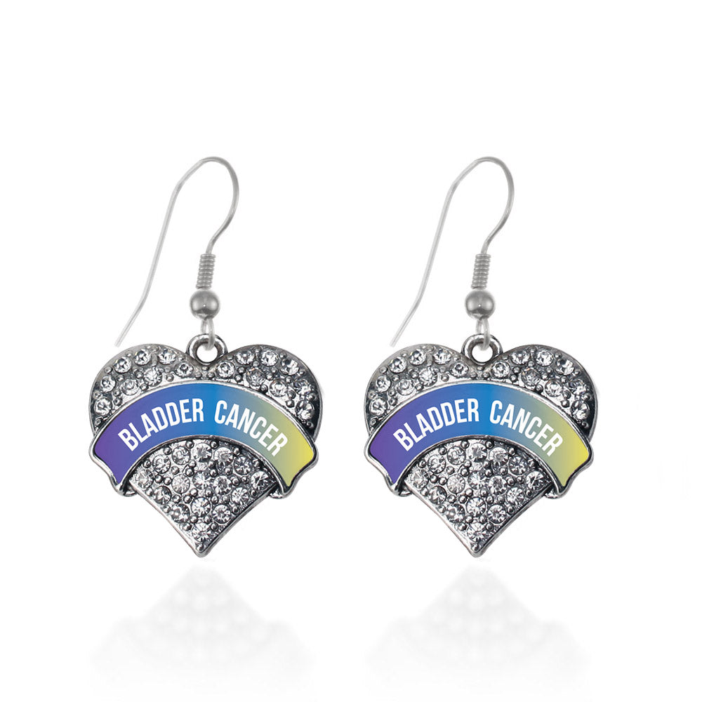 Silver Bladder Cancer Awareness Pave Heart Charm Dangle Earrings