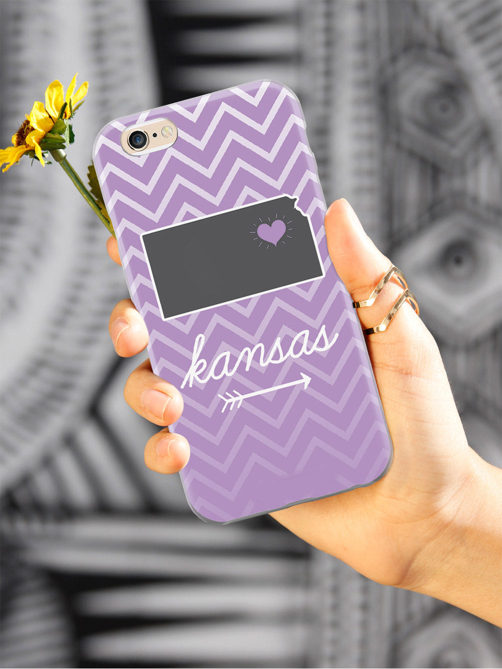 Kansas Chevron Pattern State Case