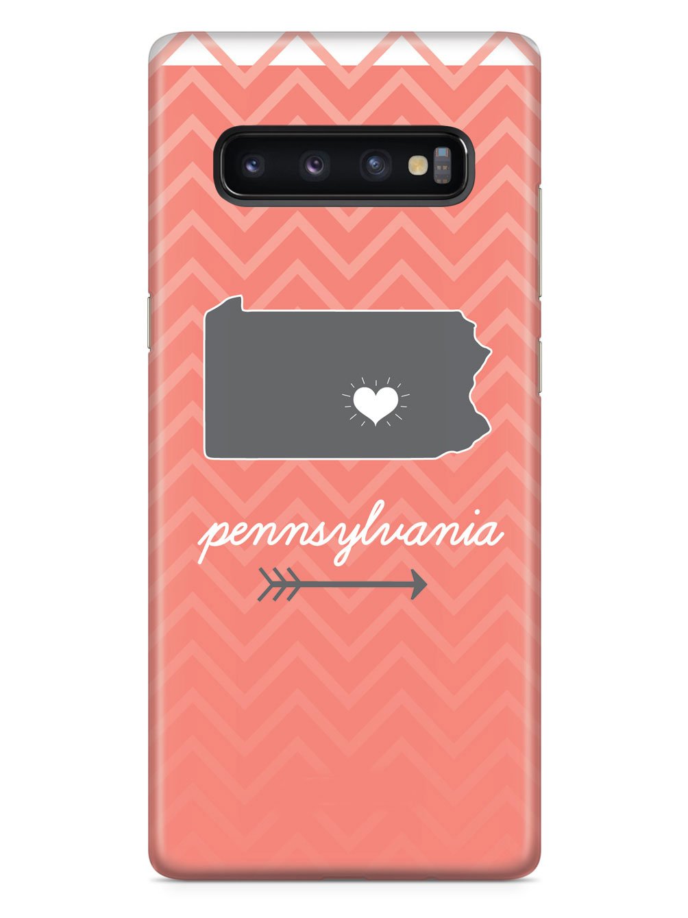 Pennsylvania Chevron Pattern State Case