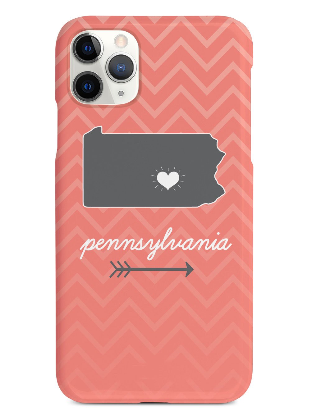Pennsylvania Chevron Pattern State Case