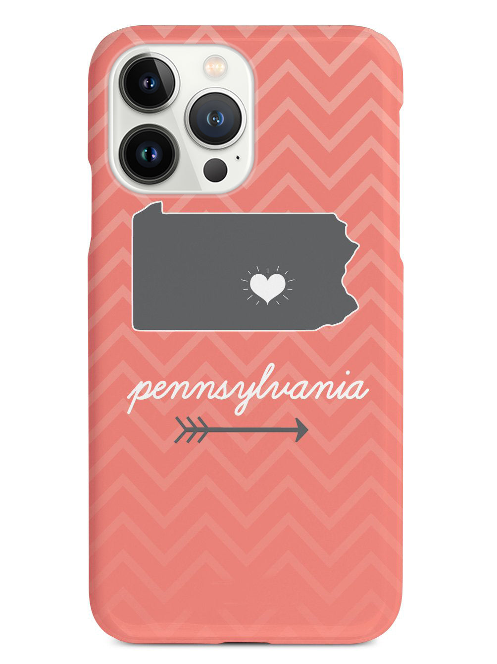 Pennsylvania Chevron Pattern State Case