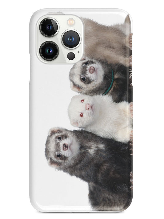 Ferrets Animals Humor Funny Case