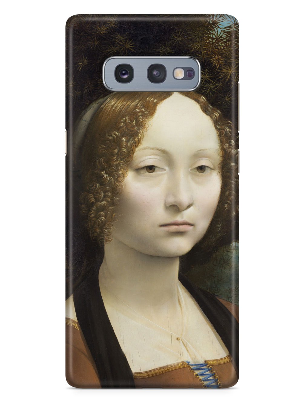 Leonardo da Vinci - Ginevra de' Benci Case