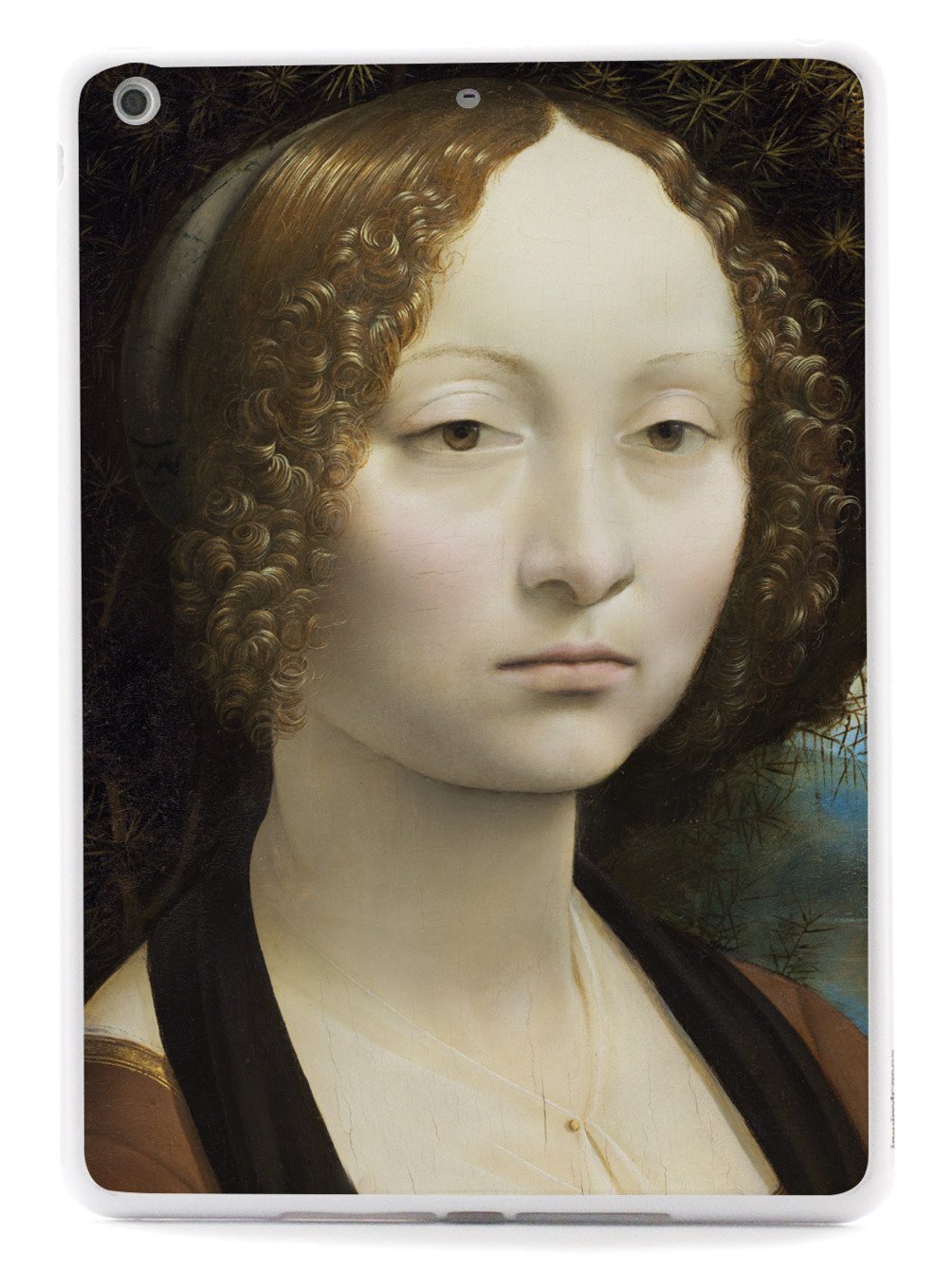 Leonardo da Vinci - Ginevra de' Benci Case