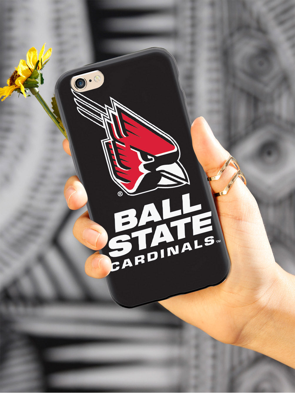 Ball State Cardinals Case