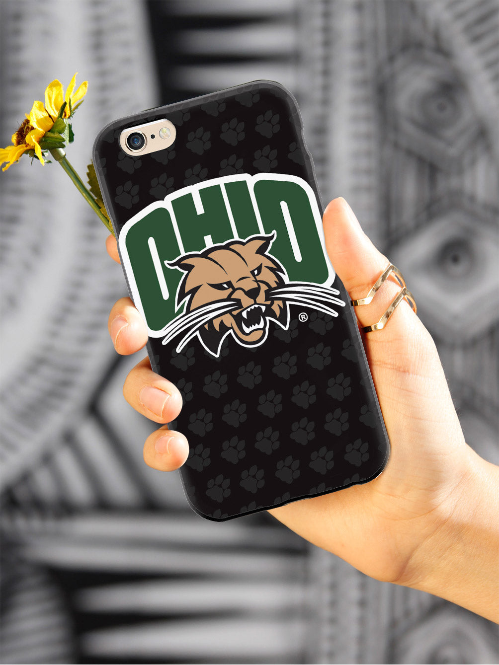 Ohio University Case