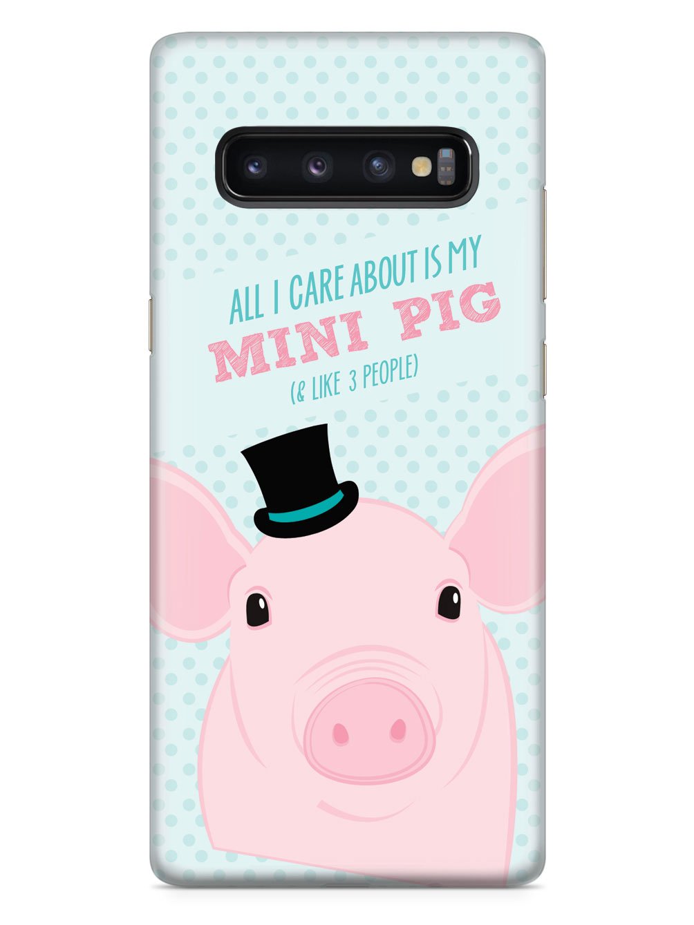 All I Care About Is My Mini Pig Case