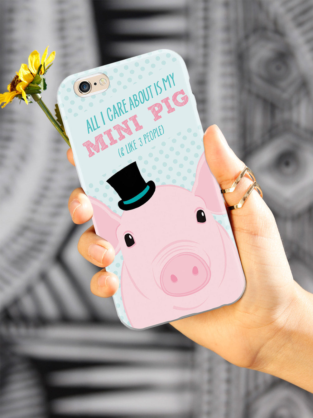 All I Care About Is My Mini Pig Case