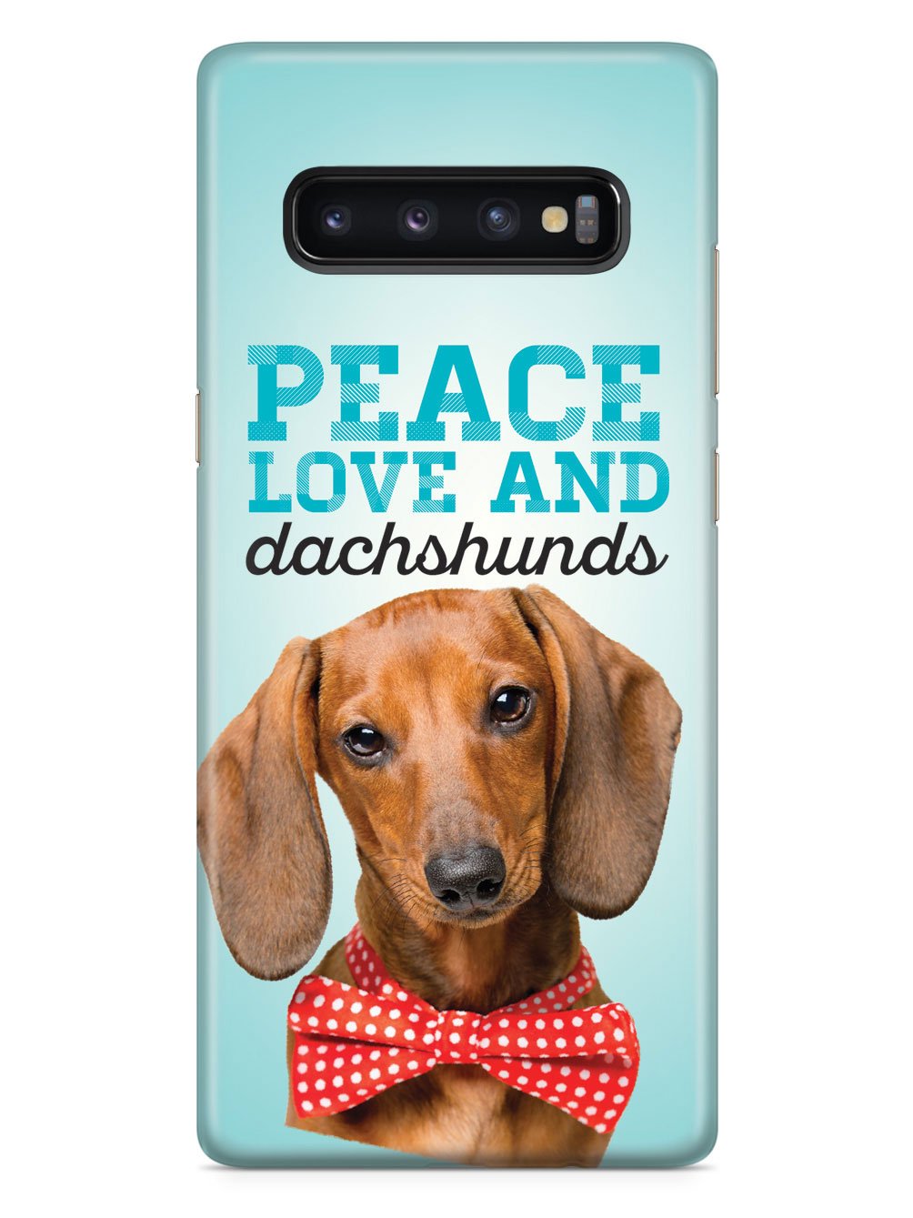 Peace Love and Dachshunds - Real Life Case