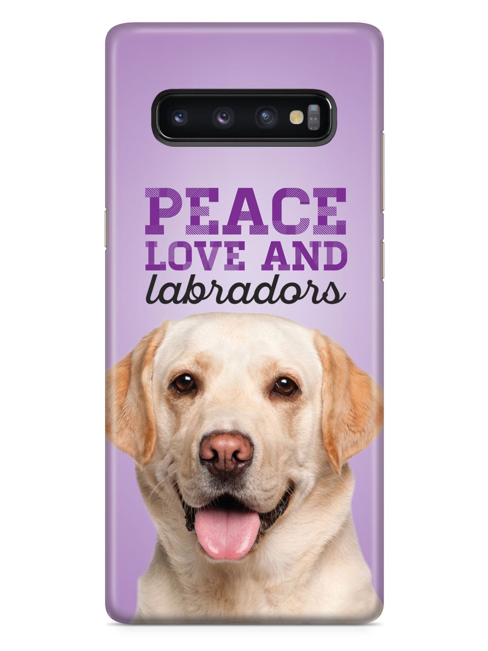 Peace Love and Labradors - Real Life Case