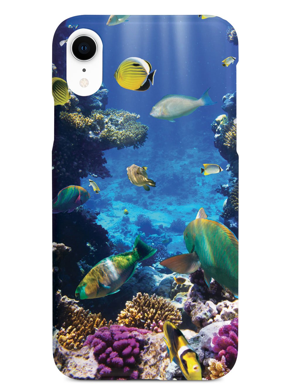 Tropical Fish Case – Inspired Silver