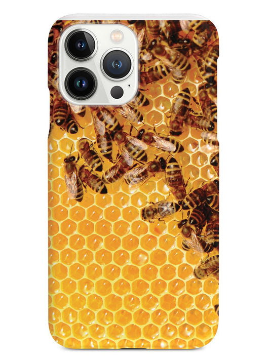 Honey Bees - Real Life Case