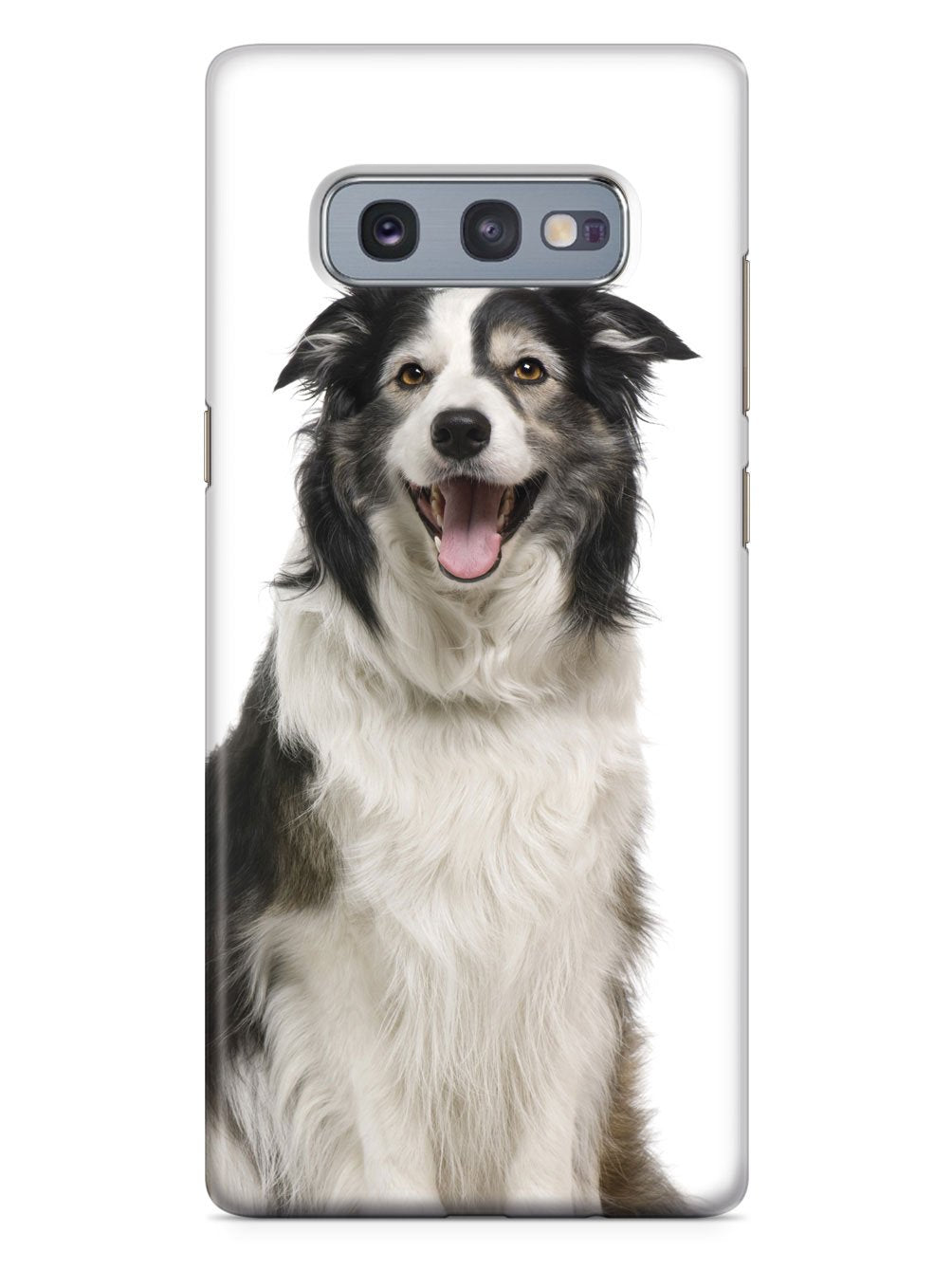 Adorable Collie Case