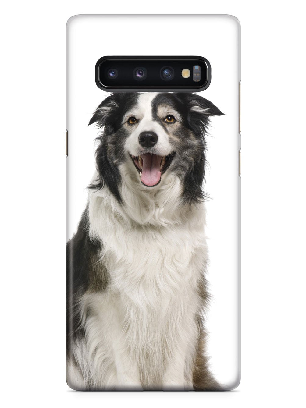 Adorable Collie Case