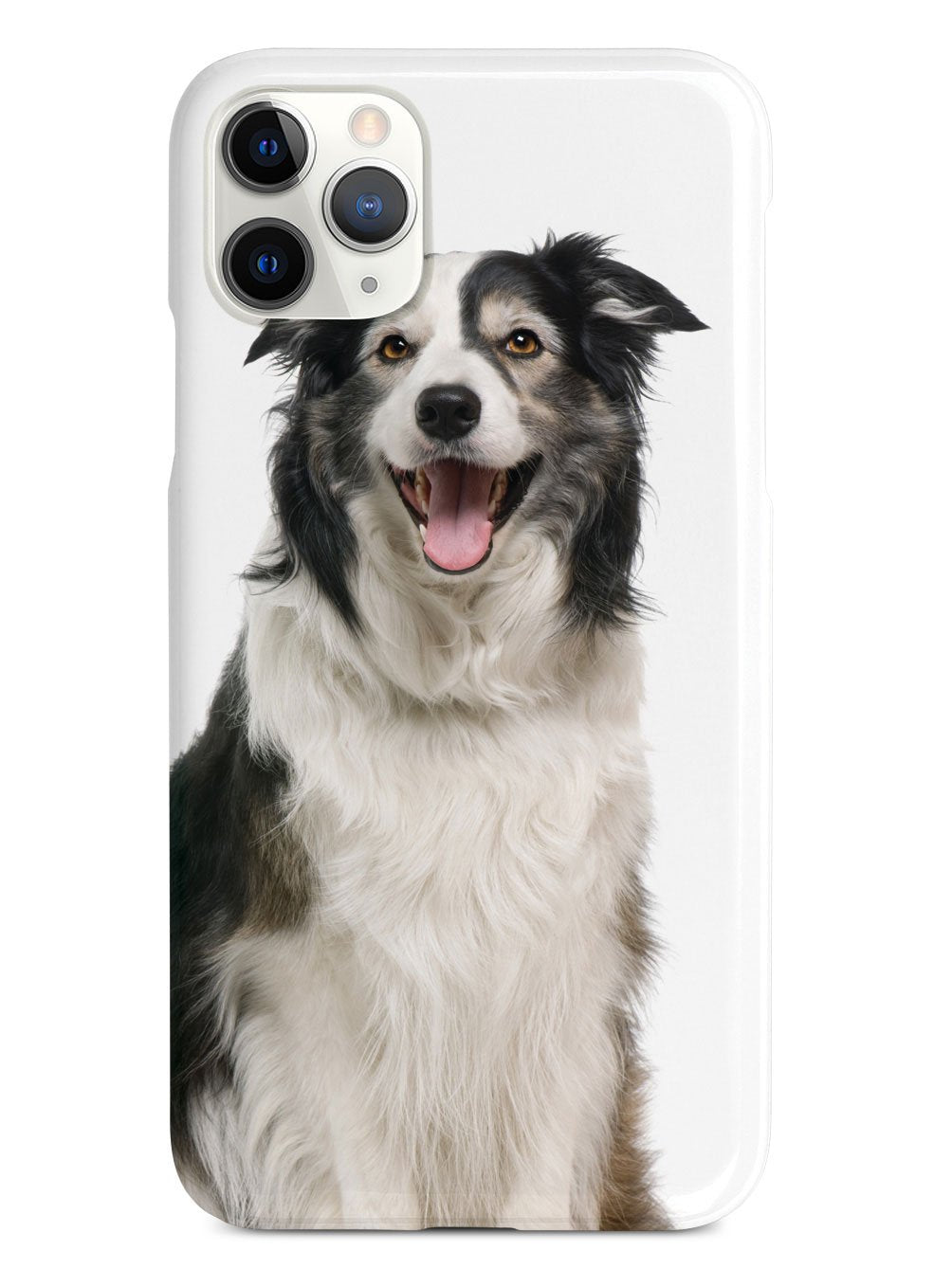 Adorable Collie Case