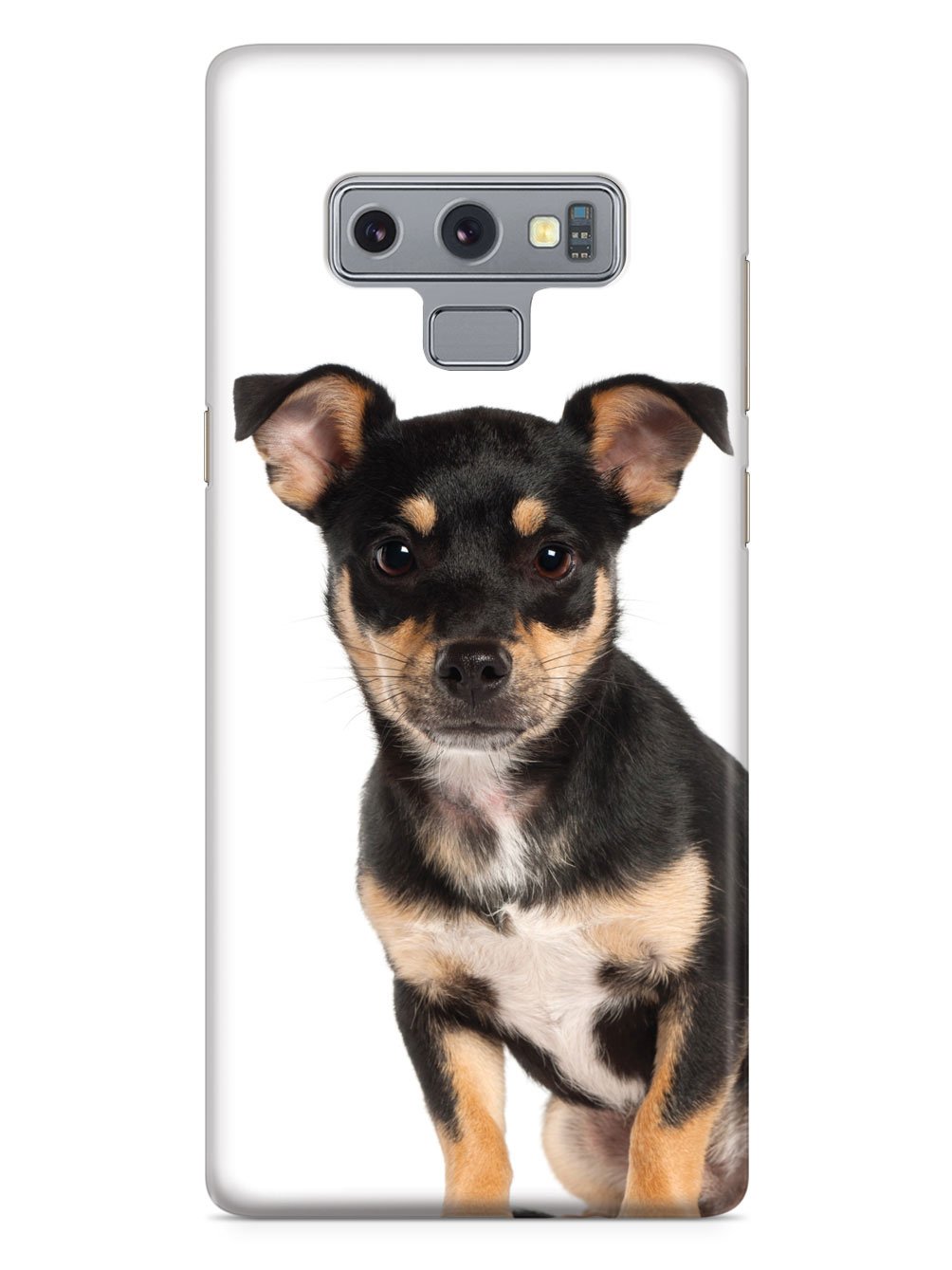 Miniature Pinscher Case