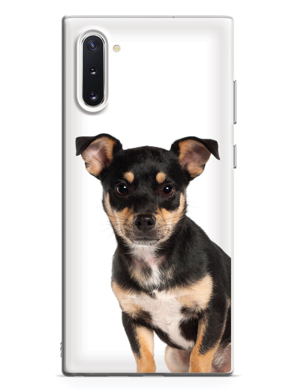 Miniature Pinscher Case
