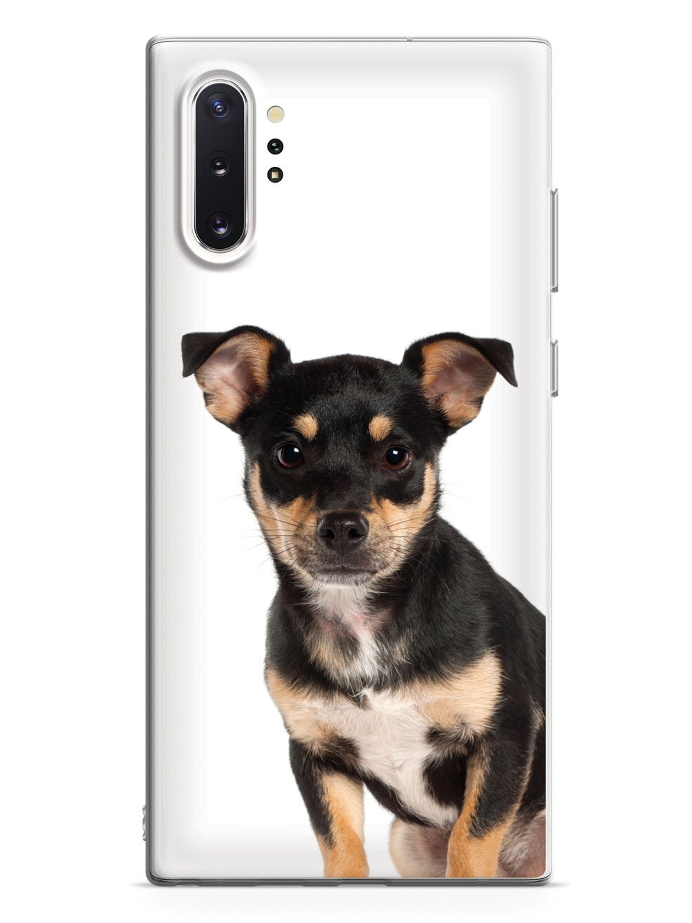 Miniature Pinscher Case