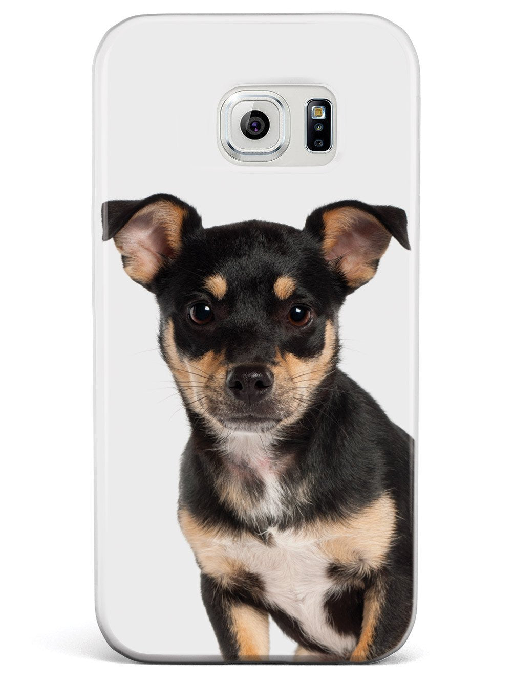 Miniature Pinscher Case
